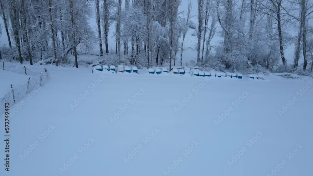 Long row of beehive boxes covered in snow. in winter with oak tree. 6o fps 4k video Long row of beehive boxes covered in snow. in winter with oak tree. 6o fps 4k video