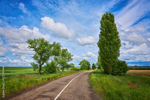 Photos asphalt road panorama in countryside on summer day