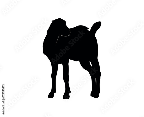 Vector flat goat silhouette isolated on white background
