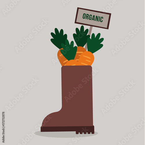 Illustration Boot with Carrots And Banner Organic 