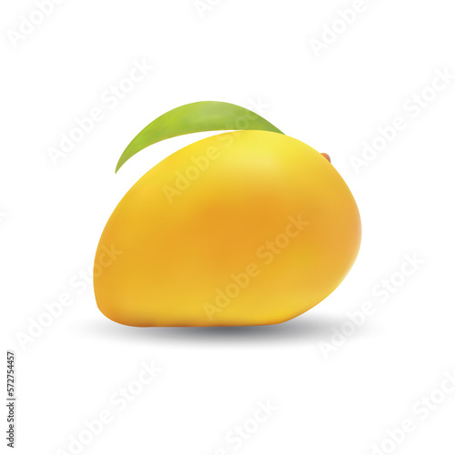 Realistic mango illustration on white
