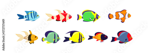 Set of marine exotic fishes on a white background. Collection Aquarium vector fish isolates. Sea fish. Vector illustration.