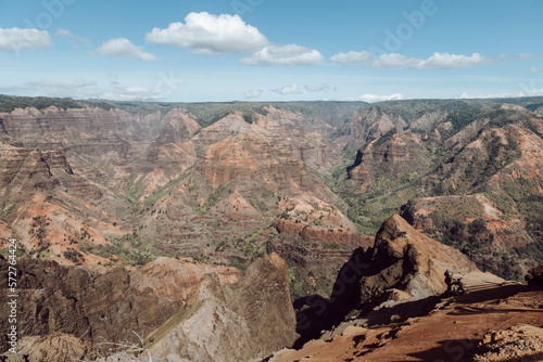 Aerial view of the canyon. Mountains of red dust and green vegetation. Travel, adventures