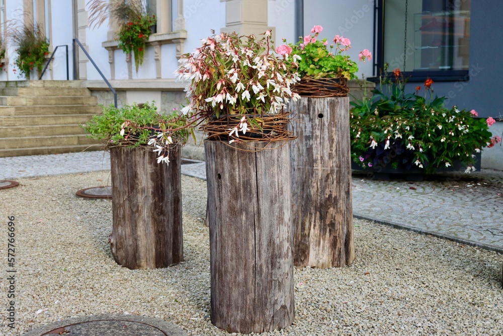 Wooden timber flower pots with white fuchsia and pink pelargoniums in Diekirch, Luxembourg, street