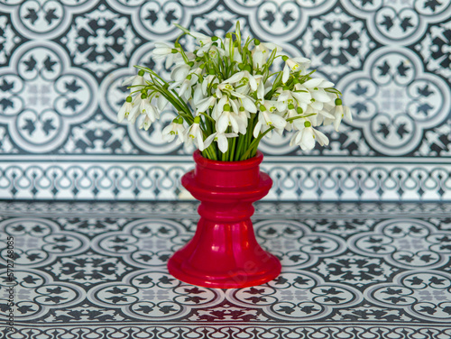 fresh spring flowers. snowdrops in a red vase. black and white tablecloth