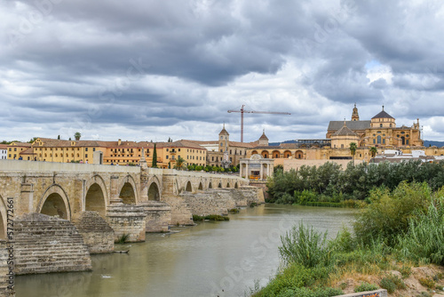 Cordoba Bridge