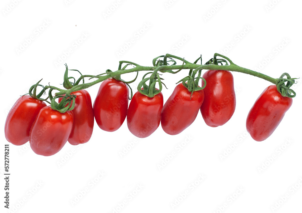 Obraz na płótnie POMIDORKI KOKTAJLOWE, POMIDORY CHERRY
cherry tomatoes isolated on transparent background PNG w salonie