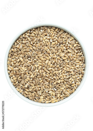KASZA PĘCZAK
pearl barley in small white ceramic dish isolated on transparent background png