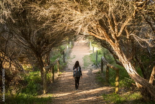 Photography Walking path through the forest on Palm Beach near Sydney in Australia