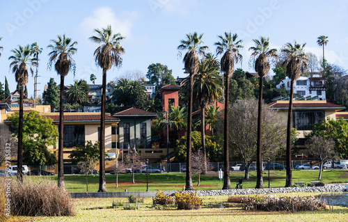 Fototapeta Naklejka Na Ścianę i Meble -  Los Angeles parks and recreational background with palm trees