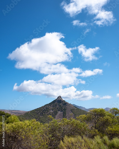 Pico de Ana Ferreira na ilha do Porto Santo. Nuvens com formação curiosa e árvores como primeiro plano. photo