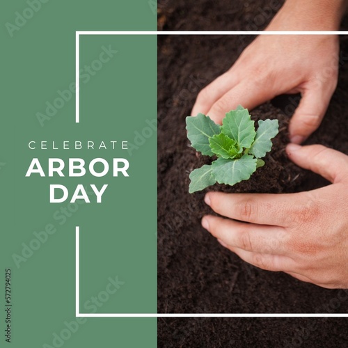 Foto Composition of celebrate arbor day text over hands holding plant