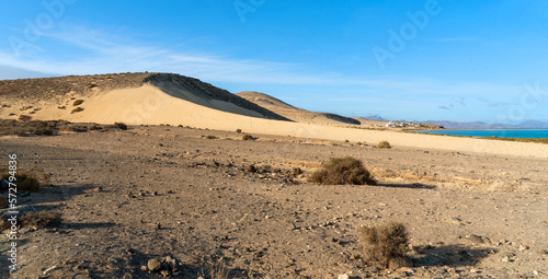 Paisaje des  rtico con grandes dunas de arena blanca junto a la playa de Sotavento en Fuerteventura en un d  a soleado con cielo azul claro. Turismo y naturaleza de Canarias