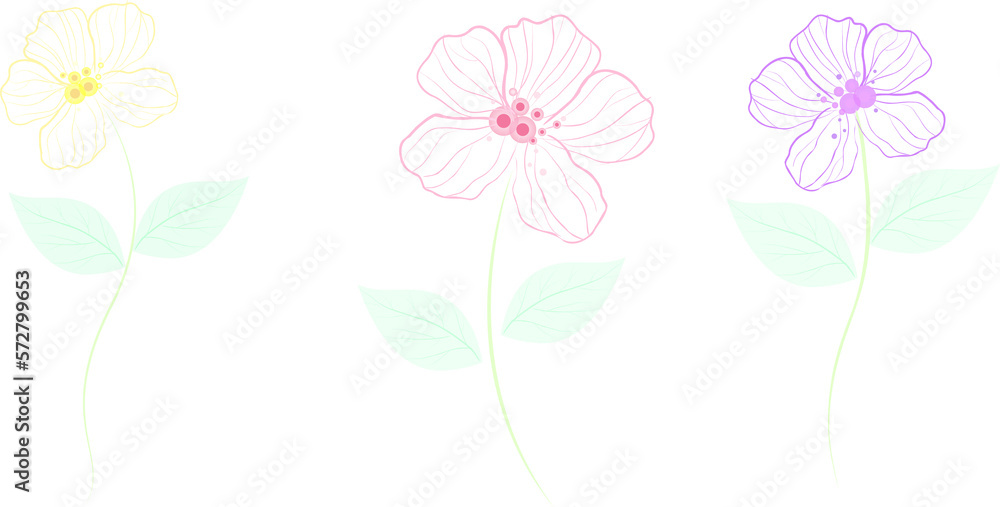 3 flowers illustration