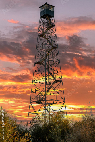 Canvas Print Turkey buzzards roosting on a viewing tower on the Malheur National Wildlife refuge near Frenchglen, Oregon