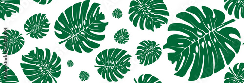 Seamless pattern of palm leaves on a white background. © Yuliia