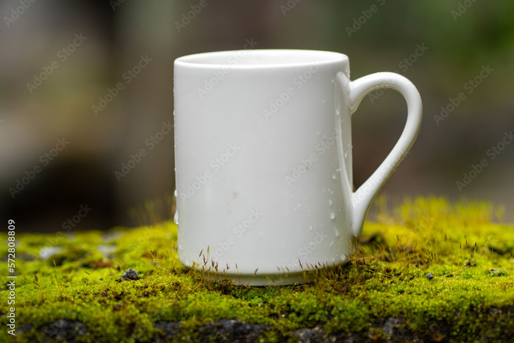 Obraz premium White mug, mock up, empty space for artwork, text, standing on stone, outdoors, green grass, trees, sky in the background, soft sunlight, nature