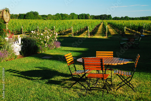 A small picnic table in the middle of a vineyard and winery offers an idealic spot for fresh wine with the lunch photo