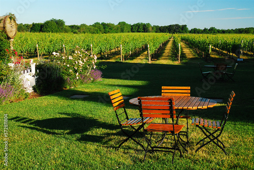 Φωτογραφία A small picnic table in the middle of a vineyard and winery offers an idealic sp