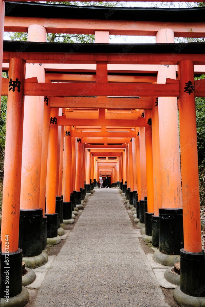 A shot of a path of torii gates at Fushimi Inari Shrine in Kyoto, Japan