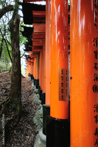 A shot of a path of torii gates at Fushimi Inari Shrine in Kyoto, Japan