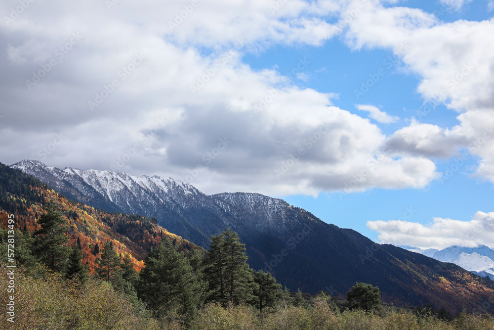 Picturesque view of mountain landscape with forest under cloudy sky Picturesque view of mountain landscape with forest under cloudy sky