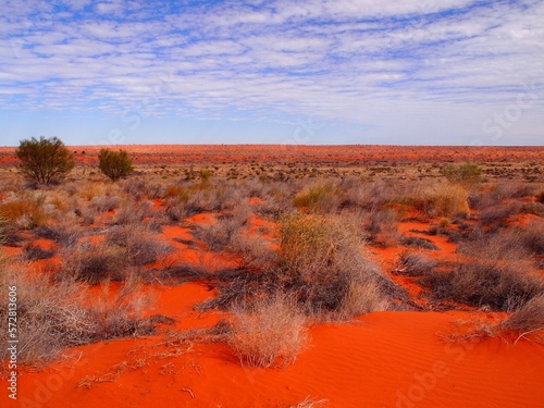 Landscape of Outback Australia, Red sand of Simpson Desert photo