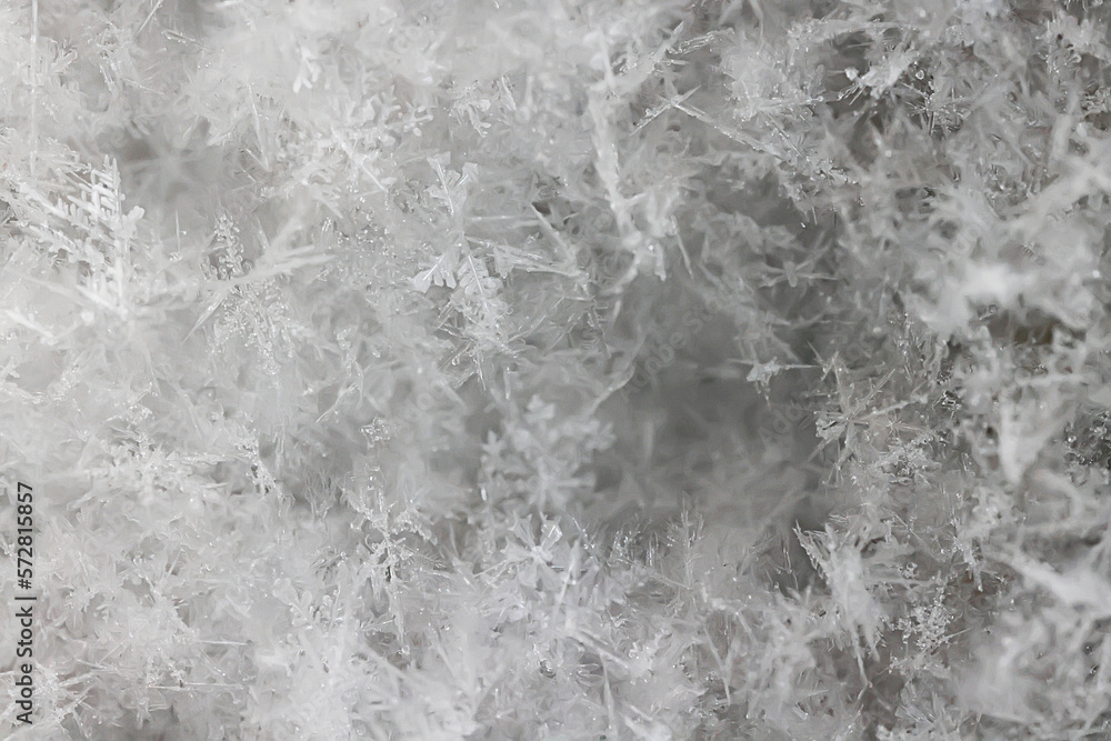 Fototapeta premium ice snow crystals background abstract white winter