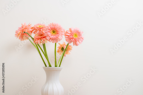 Fototapeta Naklejka Na Ścianę i Meble -  Gerbera flower in pink color