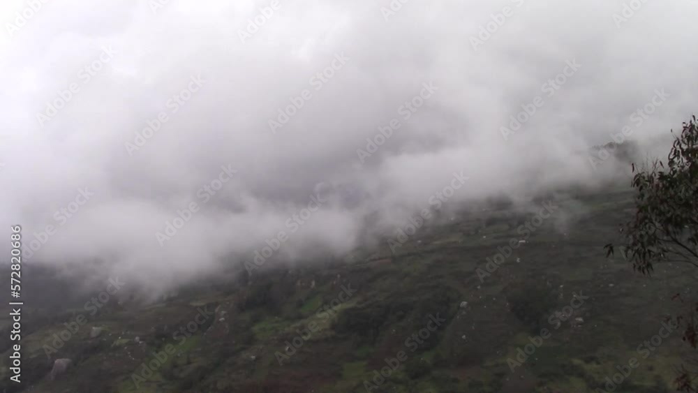 Mountain Mist Mountain Mist