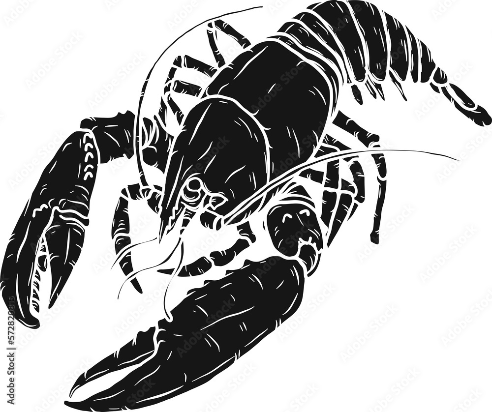 Lobster hand drawing on white background.png file. Stock Illustration