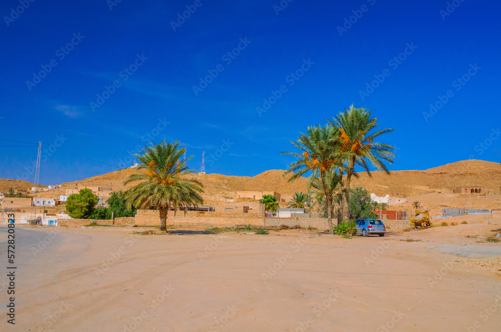Palms in Sahara desert in Tunisia, North Africa Palms in Sahara desert in Tunisia, North Africa