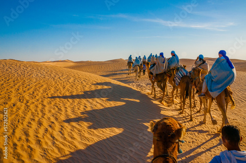 Camels caravan going in sahara desert in Tunisia, Africa