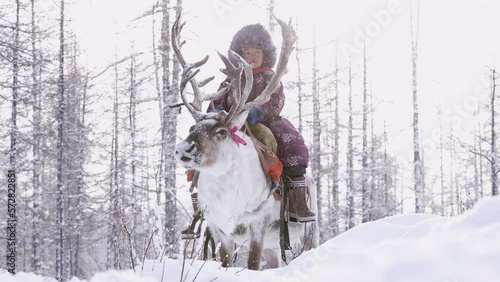 Reindeer herding in Mongolia is an ancient tradition practiced by the Dukha people, who rely on their domesticated reindeer for transportation, food, and clothing.