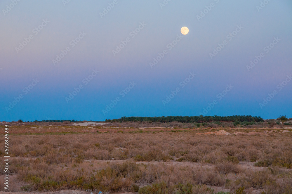 Moon above salt desert near salt lake Chott el Djerid, Sahara desert, Tunisia, Africa Moon above salt desert near salt lake Chott el Djerid, Sahara desert, Tunisia, Africa