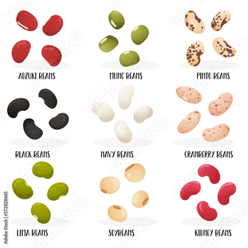 Big set of beans. Flat hand drawn style. Image with name of varieties. Adzuki, Mung, Pinto, Black, Navy, Cranberry, Lima, Soybeans, Kidney. Isolated on a white background.