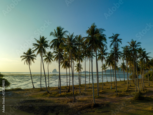 Aerial view stunning sky at sunrise above coconut trees..Wonderful aerial view of colorful landscape during the sunset. Flying over Laem Had sand beach. .Aerial view of Laem Had Beach in Koh Yao Yai.
