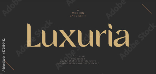 Elegant alphabet letters font and number. Classic Modern Serif Lettering Minimal Fashion. Typography decoration fonts for branding, wedding, invitations, logo. vector illustration
