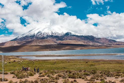 Rainy landscape of Chungara lake in the Andes mountain range