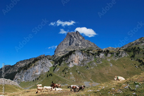 Horses in the Pyrenees National Park with the Pic du Midi d'Ossau in the background, France © AgaMars
