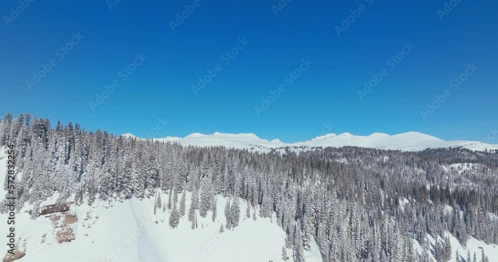 Aerial view above snow covered tree forest and beautiful mountain landscape on clear winter day