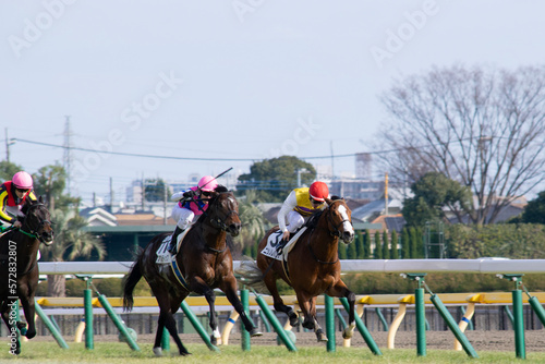 horse racing on the race