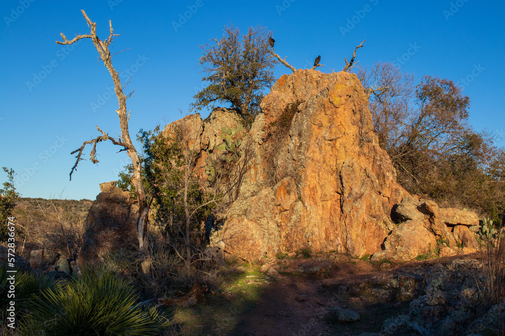 Large Granite boulder with vultures roosting in the dead tree branches above. Large Granite boulder with vultures roosting in the dead tree branches above.