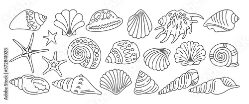 Sea shell, sink linear doodle set. Ocean exotic underwater seashell conch aquatic mollusk, sea spiral snail, marine starfish collection. Tropical beach shells nature aquatic water design illustration