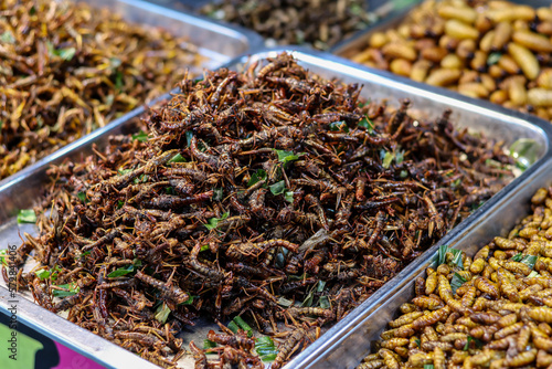 Fried grasshoppers sold in street food markets