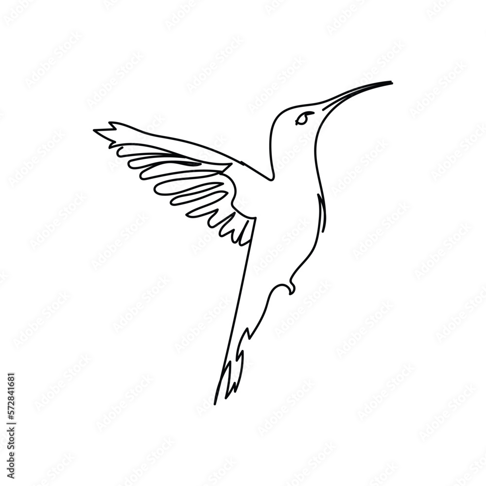 Fototapeta premium humming bird, one line art animal, continuous one line art vector illustration , printing, modern line art, minimalistic, minimalism line art drawing , printable in cards decor,logo concept.