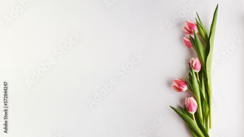 Fototapeta Naklejka Na Ścianę i Meble -   pink tulips and emty space for text over loght grey background