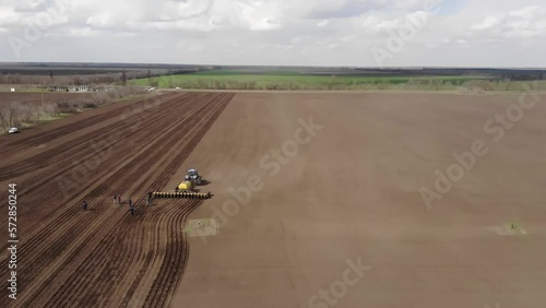 Blue tractror planting sunflower with yellow planter on the cultivated field in Ukraine photo