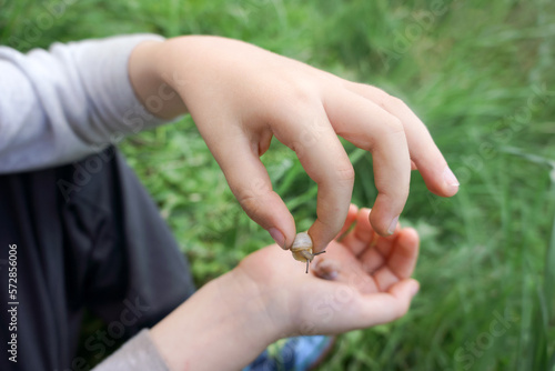 Small snail in the hands of a little kid, close-up outside © Cavan