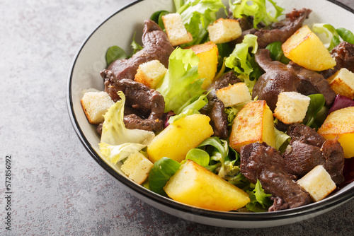 Salad made with a combination of gizzards, onions, potatoes, shallots, lettuce, balsamic vinegar, olive oil and croutons close-up in a plate on the table. Horizontal photo